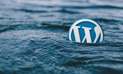criação de websites